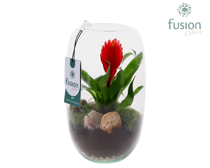 <h4>Green Bottle Isabella Medium met Bromelia</h4>