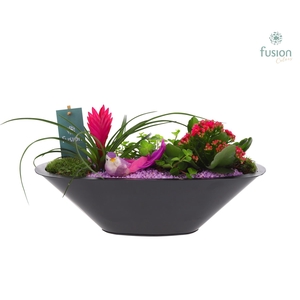 Schaal zink antraciet met Arrangement