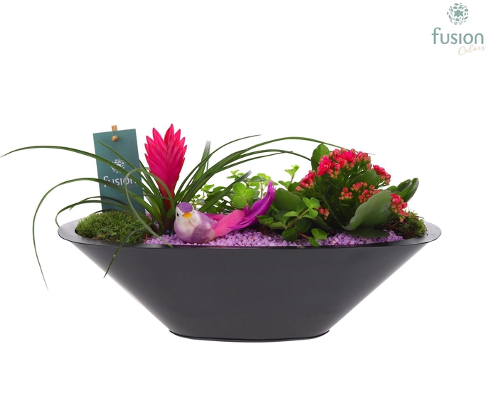 <h4>Schaal zink antraciet met Arrangement</h4>