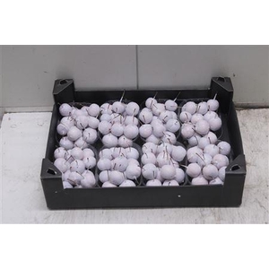 F-malusappel Glitter Wit