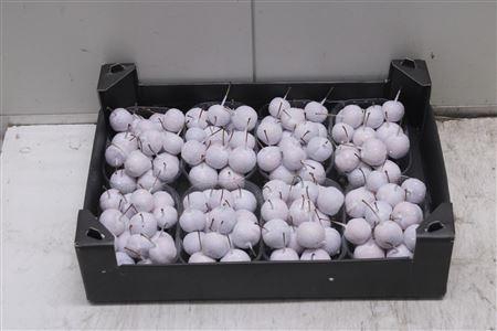 <h4>F-malusappel Glitter Wit</h4>