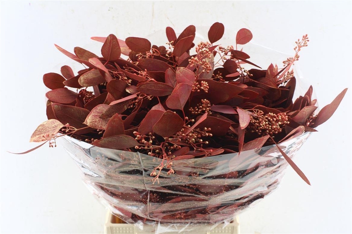 <h4>Euca Populus Berry Metal Antique</h4>