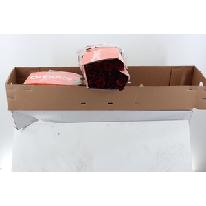 R Gr Explorer Box CO