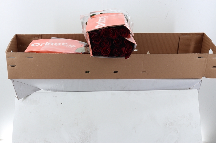 <h4>R Gr Explorer Box CO</h4>