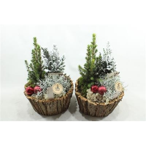 8782 SCHORSPOT BOOMPJE