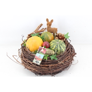 arr4 Sierfruit JS - Rieten mand rond