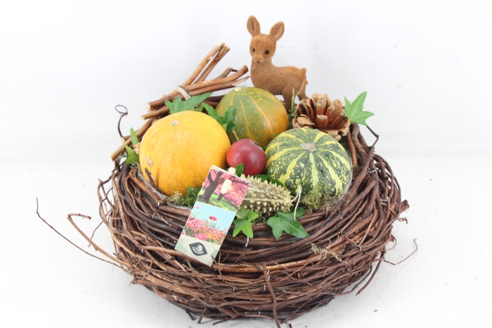 <h4>arr4 Sierfruit JS - Rieten mand rond</h4>