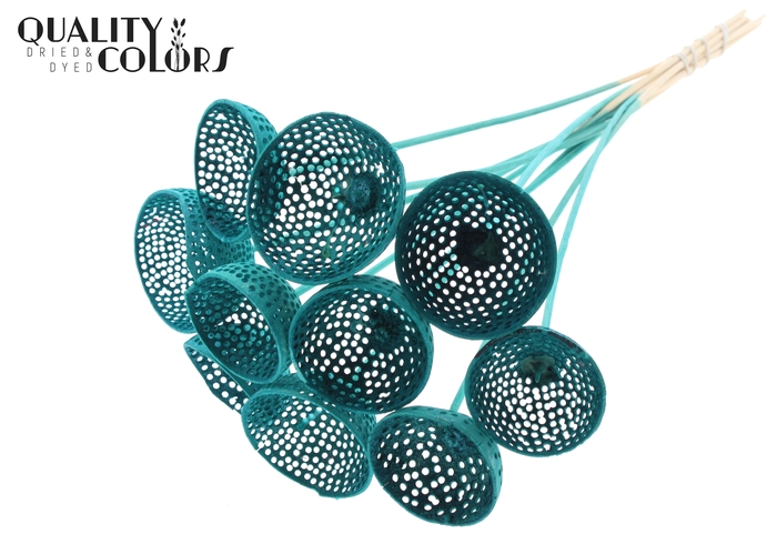 Bell Cup Jali on stem Intense Turquoise