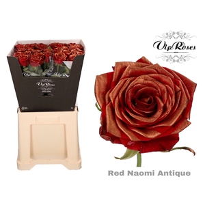 R Gr Red Naomi Antique