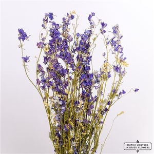 Dried Delphinium Blue Extra Bunch