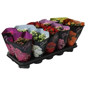 Kalan Gem 5kl Luxe Hoes