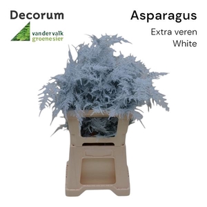 Asp extra veren White