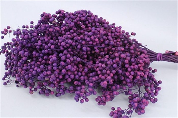 Schinus M Pt Purple Bunch