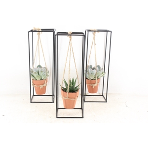 arr2 PL - Ijzer frame terra pot hang x1