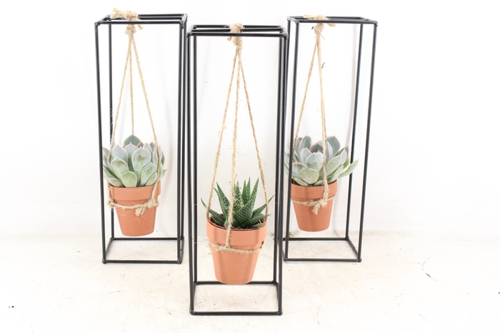 <h4>arr2 PL - Ijzer frame terra pot hang x1</h4>