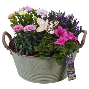 PTPP6826 Arrangement Patio in metalen bak