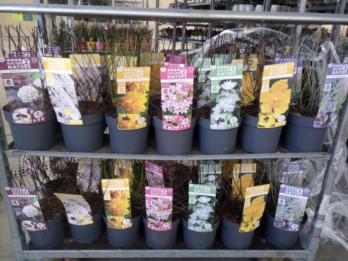 <h4>Heesters   ...mix          [Scrubs]</h4>