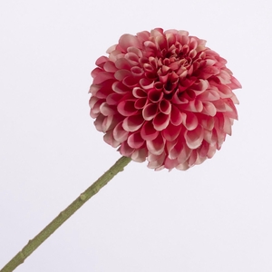 Dahlia Pink FL440337PNK