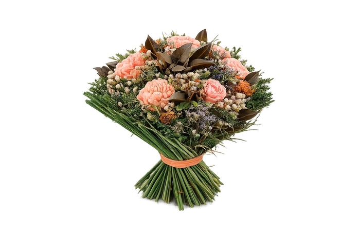 <h4>DROOGBL BEWERKT H%</h4>