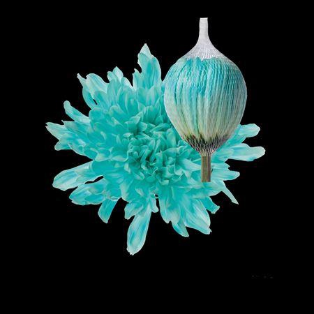 <h4>Chr G Antonov Pastel Mint</h4>