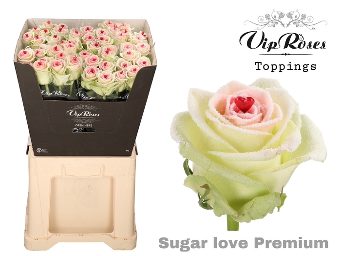 <h4>R GR SUGAR LOVE PREMIUM 996</h4>