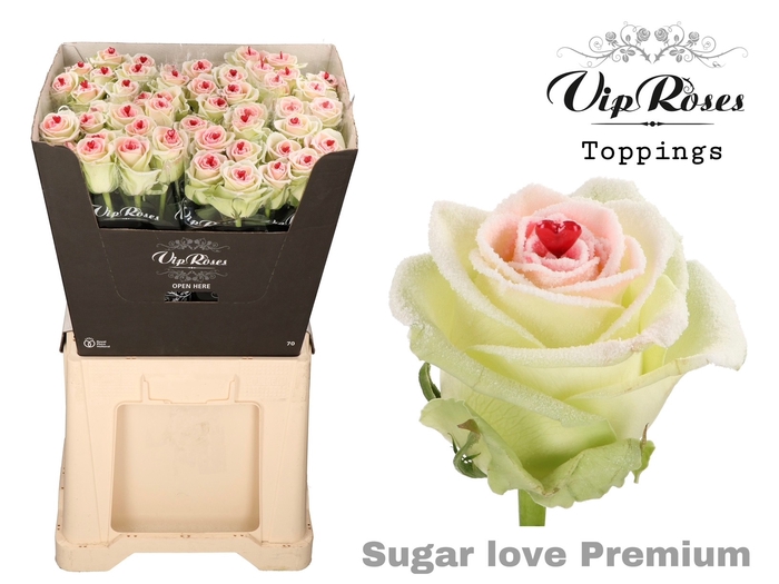 <h4>R GR SUGAR LOVE PREMIUM x20</h4>