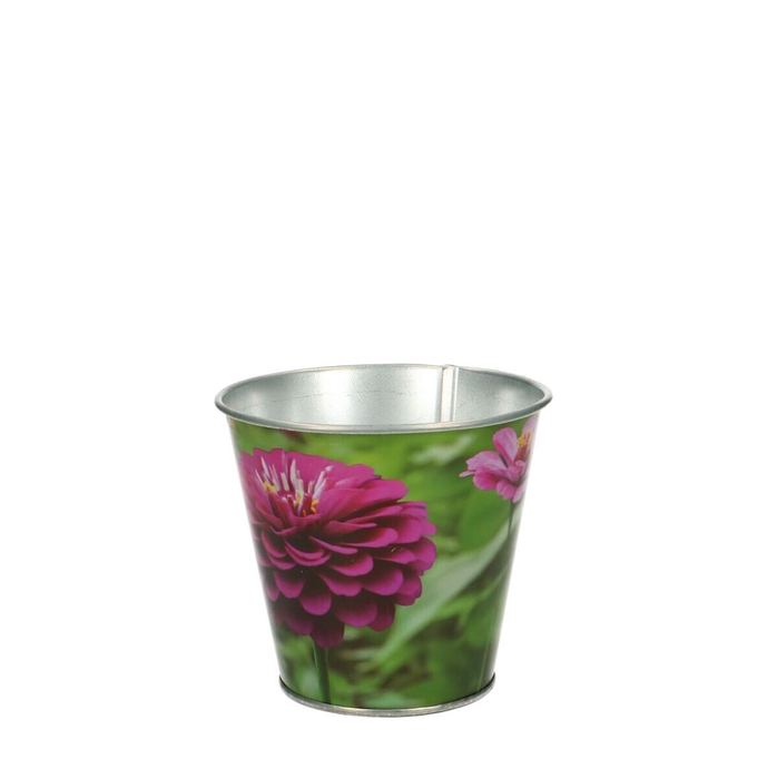 <h4>Promo Flower pot d11*10cm</h4>