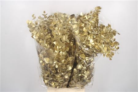 <h4>Euca Cin Klb Gold 400 Gram</h4>