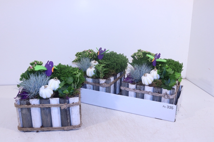 <h4>ARR TUINPLANTEN</h4>