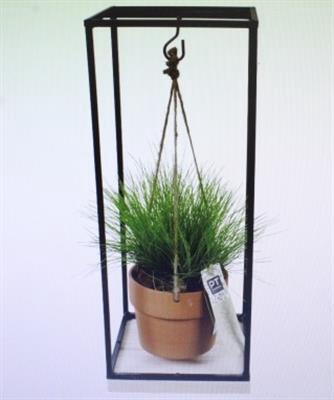 <h4>1608 Black Rek Gras</h4>