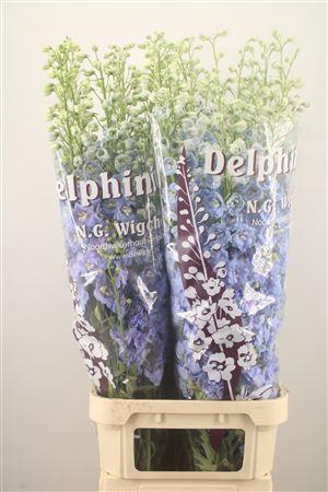 <h4>Delph Du Noa Pale Blue</h4>