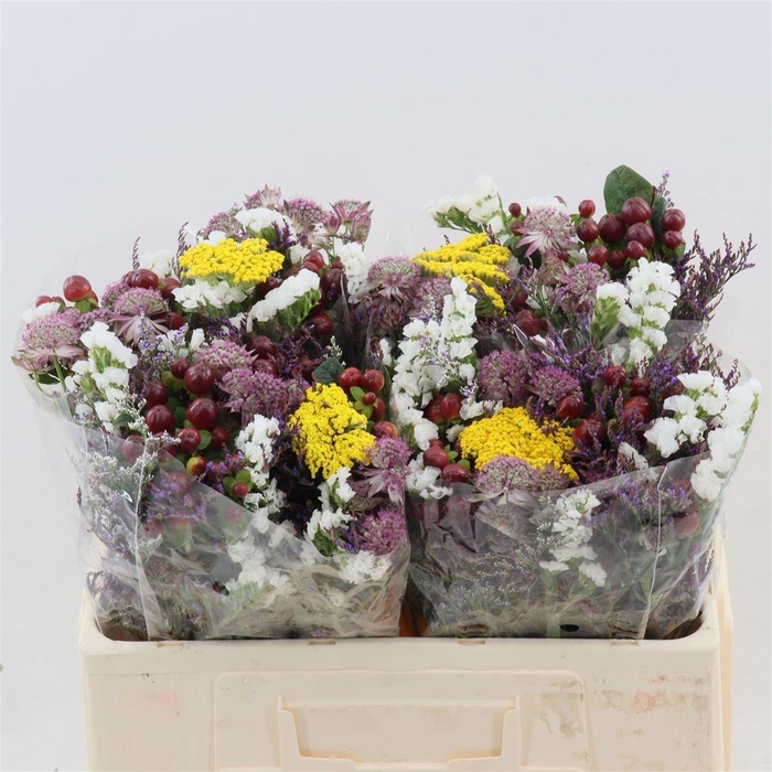 <h4>ZOMERBOEKET OV</h4>