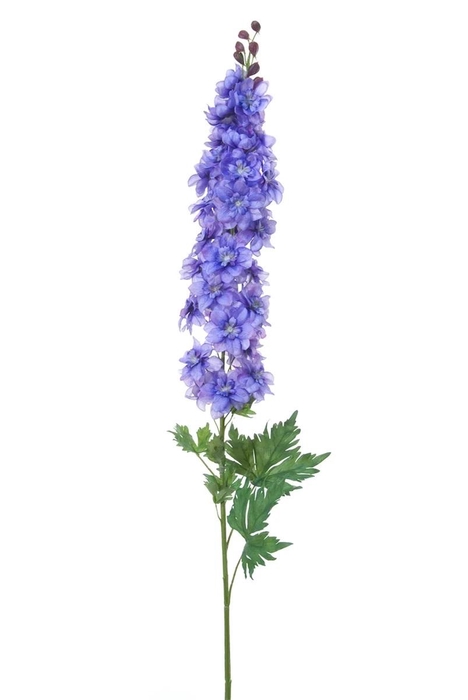 <h4>AF Delphinium L114cm Purple</h4>