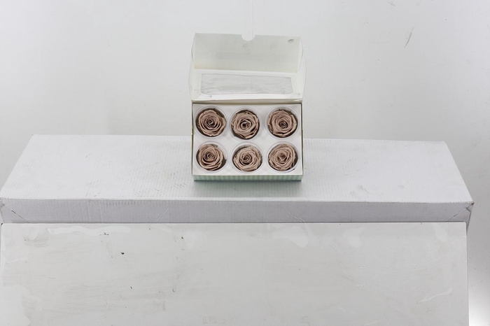 <h4>Rosa Preserved Latte</h4>