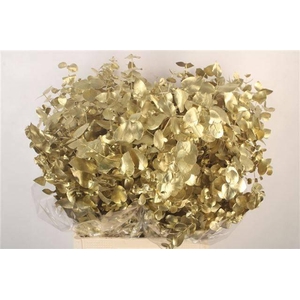 EUC CIN KLB P BOS H%