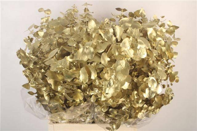 <h4>EUC CIN KLB P BOS H%</h4>