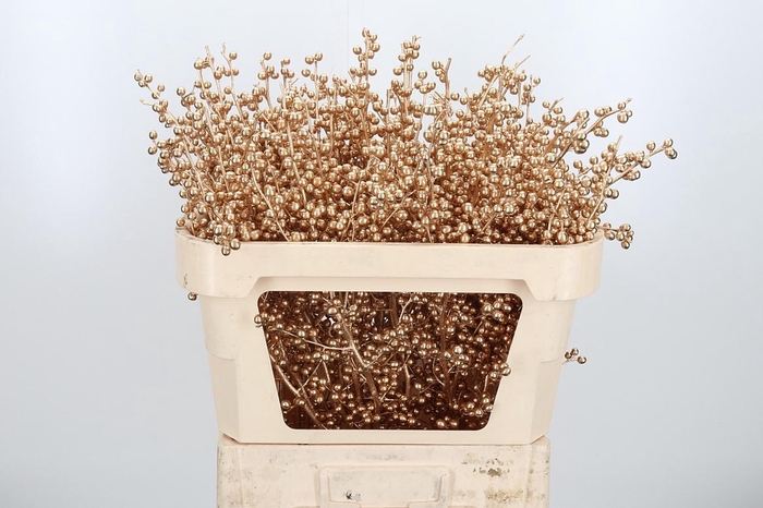 Ilex Kl Bh Antiek Goud