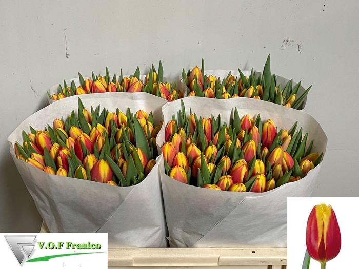 <h4>TU EN DOW JONES</h4>