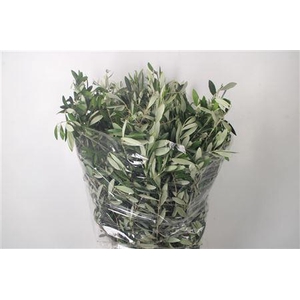 Olijf Per Bunch 400 Gram