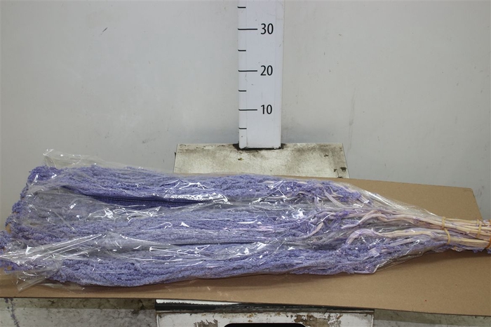 <h4>Dried Amaranthus Milka</h4>