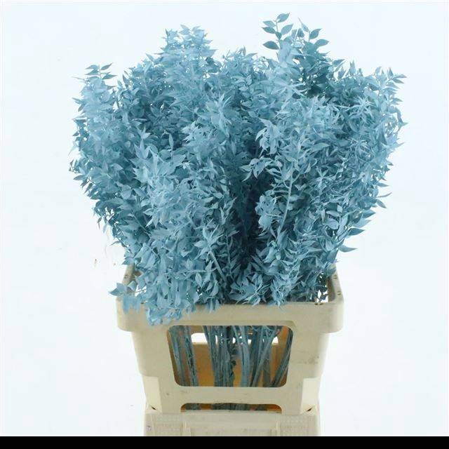 <h4>RUSCUS OV KLB H%</h4>