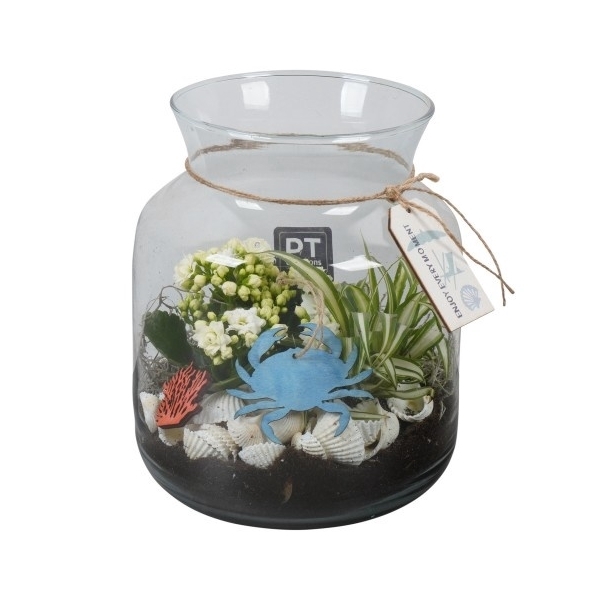 <h4>PTSD8009 Arrangement Summer Deal in glazen vaas</h4>
