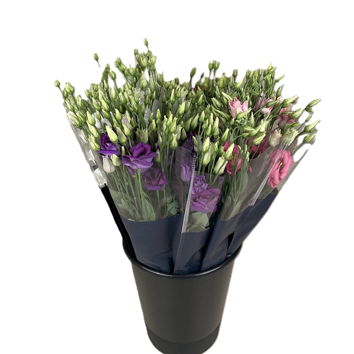 <h4>Bq Mono Lysianthus Mix</h4>