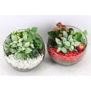 arr2 PL - Glas bol schuin - rood/wit