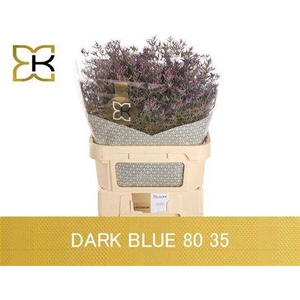 Lim Saf Dark Blue