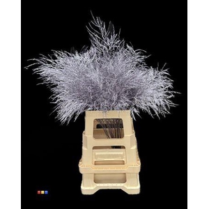 Treefern Metallic Purple