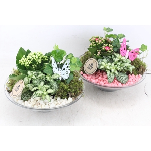 arr2 PL - Glas schaal 23cm - roze/wit