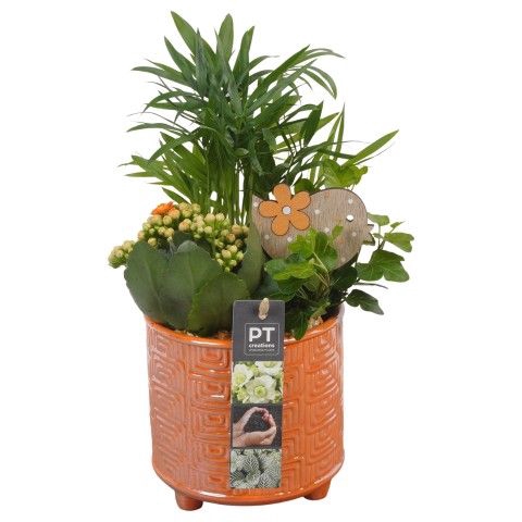 <h4>Opm Pt PTIB6479 Indoor Keramiek Pot</h4>