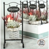 Arr Tuinplanten Metal Frame Wilg Basket