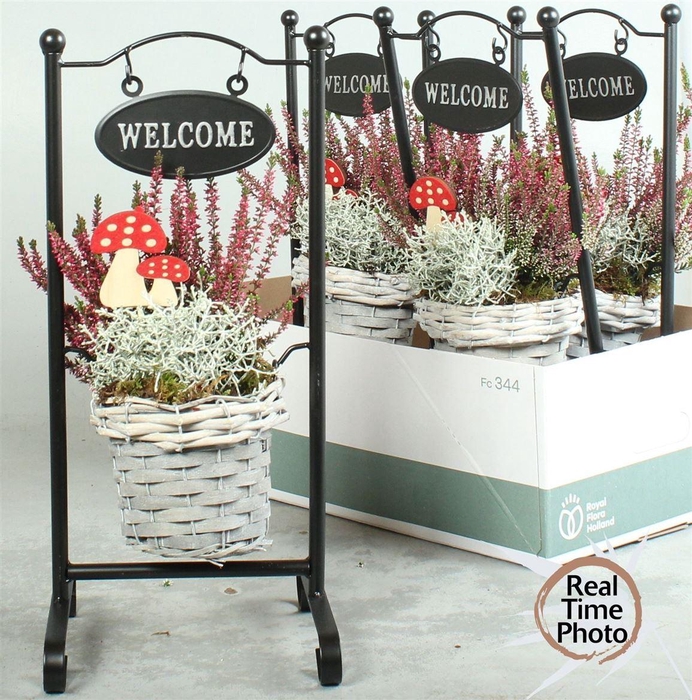 Arr Tuinplanten Metal Frame Wilg Basket